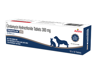 Treatclin 300 Mg