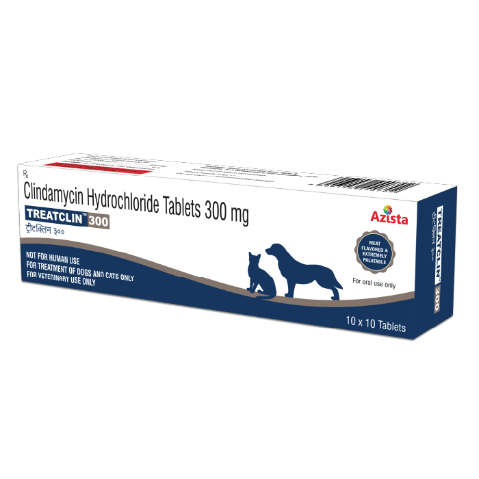 Treatclin 300 Mg